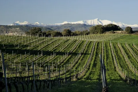 Enoturismo de invierno