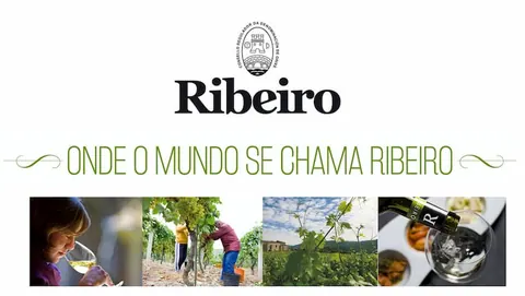 Ribeiro