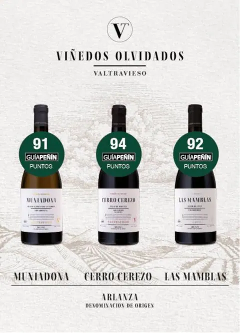 Viñedos Olvidados - Valtravieso