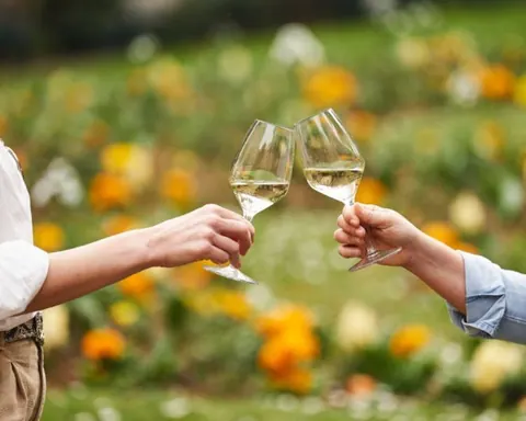 Vinos Blancos