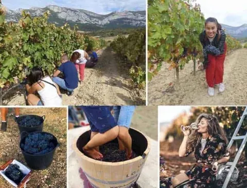 experiencias enoturistas