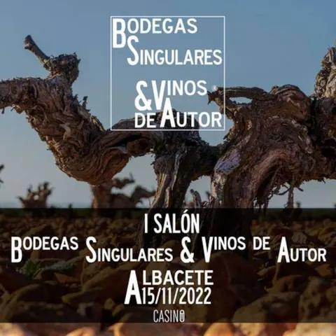 Bodegas Singulares & Vinos de Autor