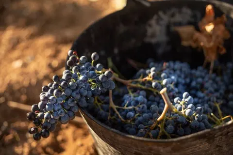 Finca La Estacada