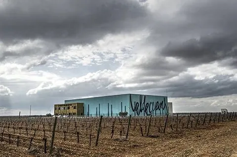 Bodega Valdecuevas