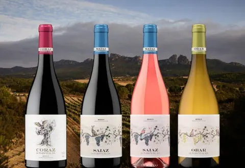 Bodegas puente del ea