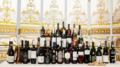 Bacchus 2023