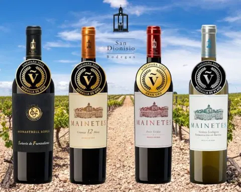 Bodegas san dionisio
