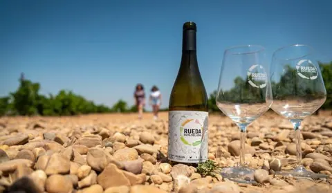 Ruta del vino de rueda