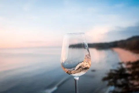 Vinos salinos
