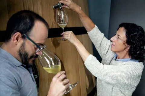 Verdejo de cuatro rayas
