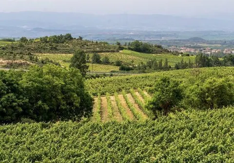 Bodegas verum