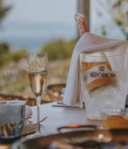 Mistinguett brut rosé