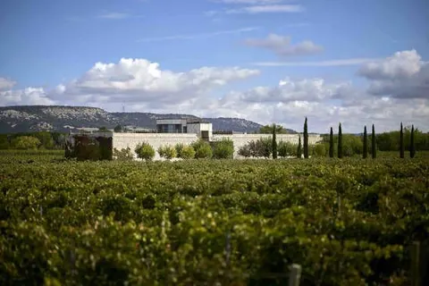 Finca rodma