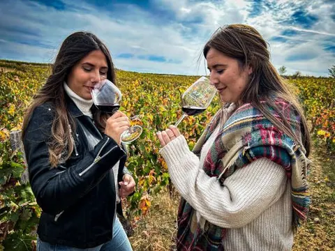 Socios de la Ruta del Vino Ribera del Duero