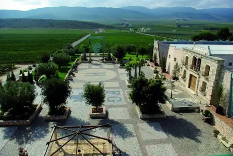 Cata de vino
