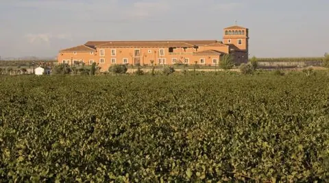 Cata de vino