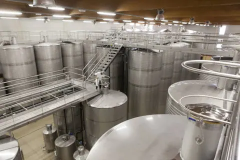 Cata de vino
