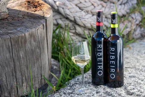 Vinos de la D.O. Ribeiro premiados en Bacchus 2026