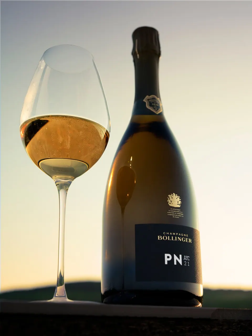 Botella de Champagne Bollinger PN AYC21