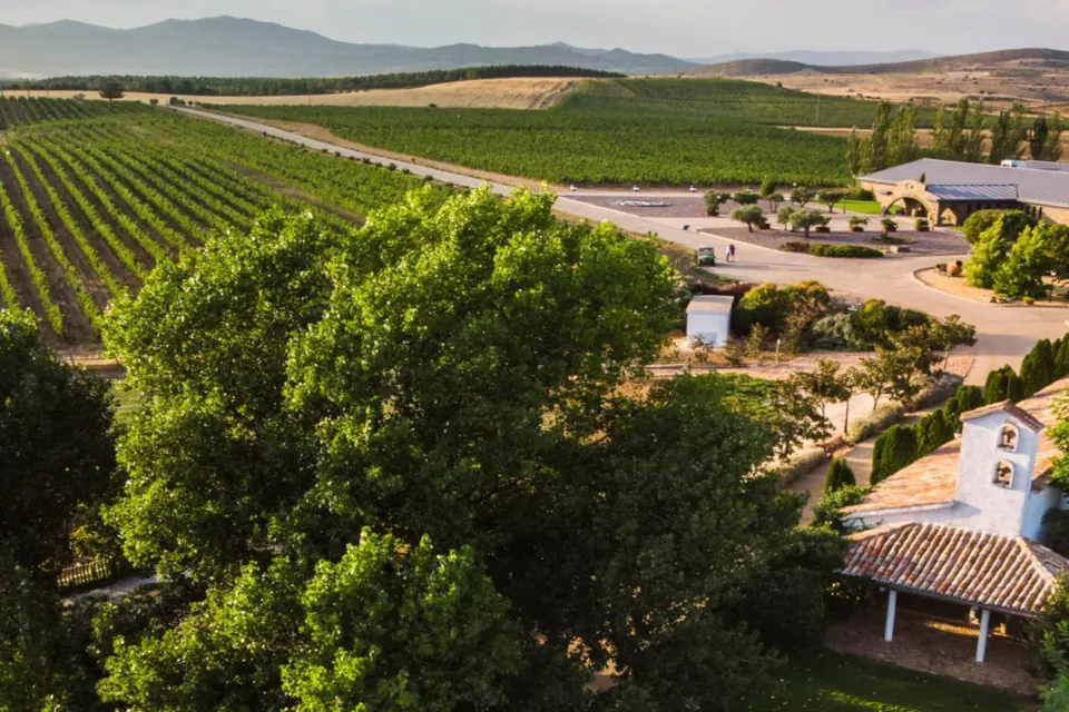 Vista de viñedos y edificios de Finca Río Negro en Cogolludo