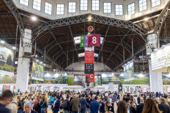 Barcelona wine week