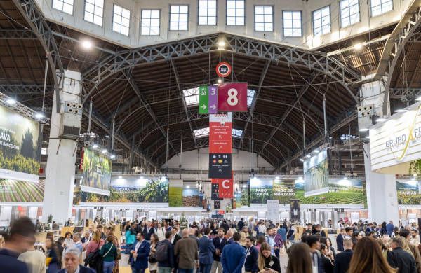 Barcelona wine week
