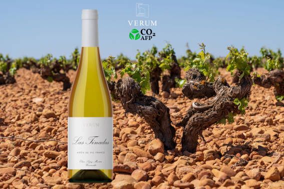 Vino con emisiones negativas de co2
