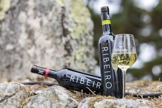 Vinespaña