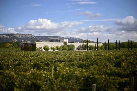 Finca rodma