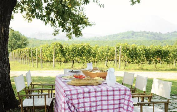 La primavera del cava