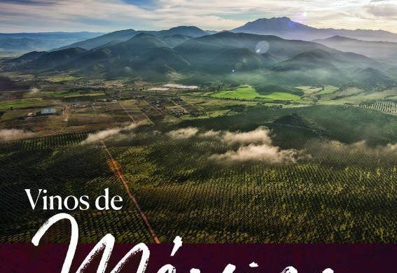 Peñín