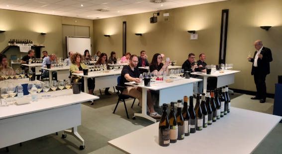 Vinos de la D.O. Ribeiro