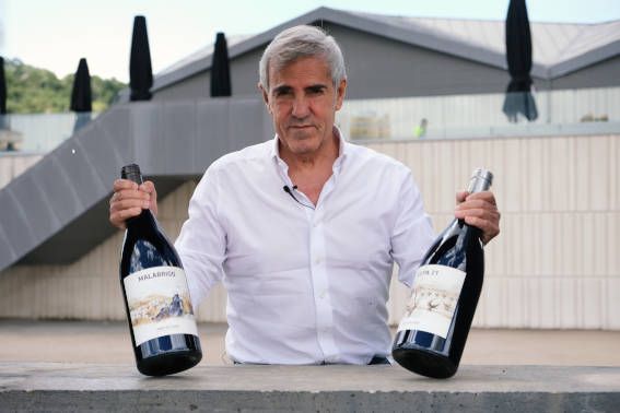 Vinos de José Moro