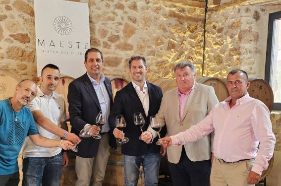 Bodegas maeste