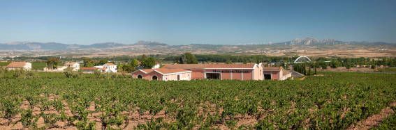 Spanish fine wines