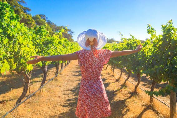 La Vendimia del Cava