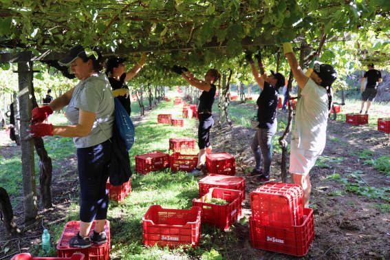 Bodegas de la Ruta del Vino Rías Baixas