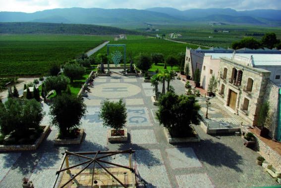 Cata de vino
