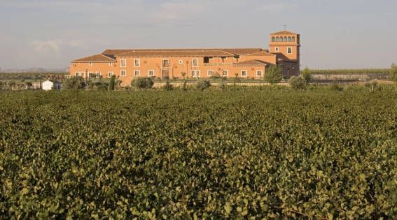 Cata de vino