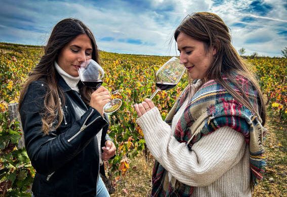 Socios de la Ruta del Vino Ribera del Duero