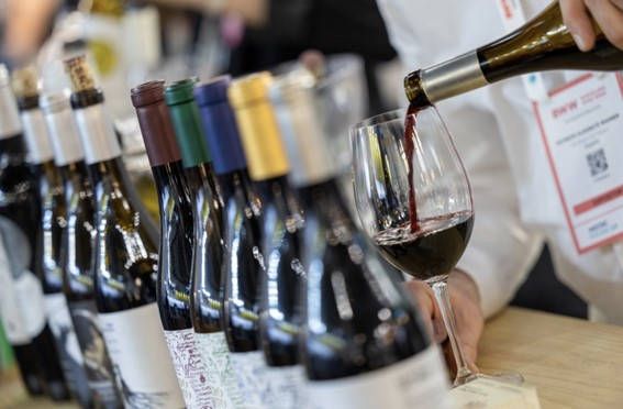 Los mejores vinos españoles de viñas viejas