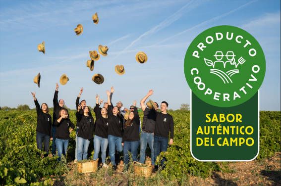 Producto cooperativo