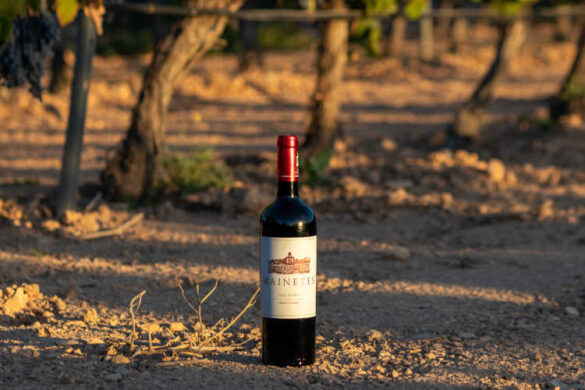 Mainetes Petit Verdot
