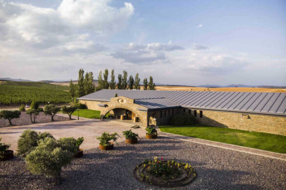 Finca Río Negro obtiene el reconocimiento de Vino de Pago