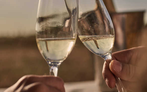 El Cava destaca por su excelencia en los Decanter World Wine Awards 2025