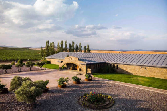 Finca Río Negro presenta las nuevas añadas de sus vinos