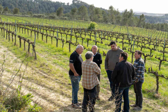 La Asociación de Viticultores del Penedès